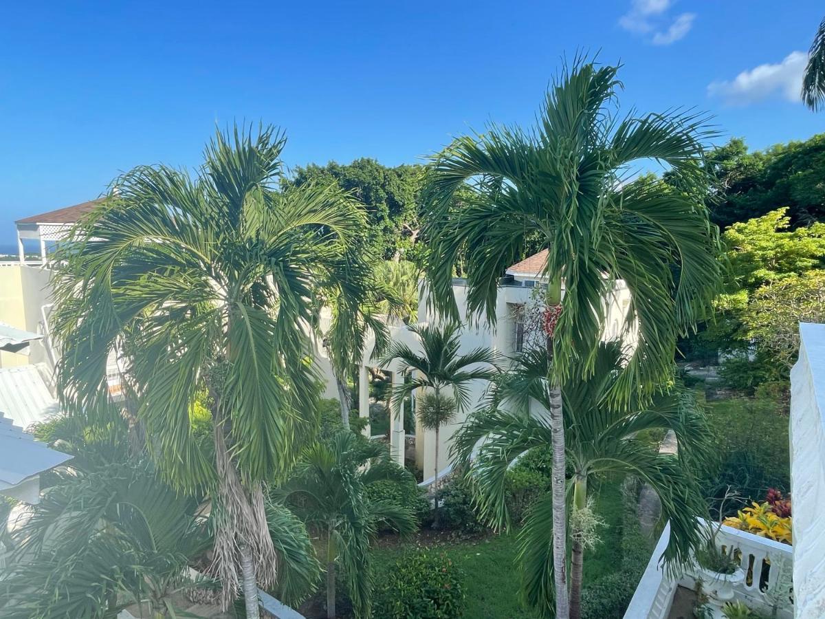 Hummingbird Retreat - Luxury Oceanview Apt, 7-Minute Walk To Beach Ocho Rios Ngoại thất bức ảnh